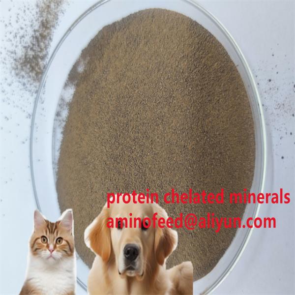 Fermentation Process Soy Protein Hydrolysate Powder with 50% crude protein In Animal Feed Applications