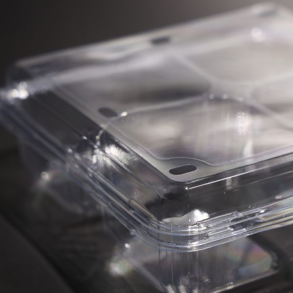 4 Compartment Plastic Food Box Leak Proof Rectangular Disposable Food Container