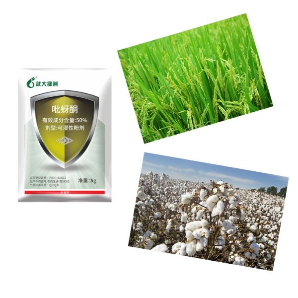 50% Pimetrozina WP Controle Insecticida de Frutas e Vegetais para Bores