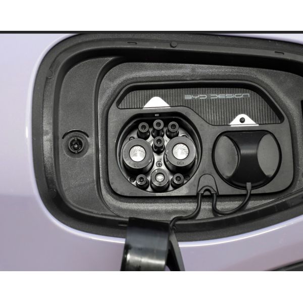 Электрическое нового автомобиля версии моды дельфина 2023 420KM BYD небольшого чистое