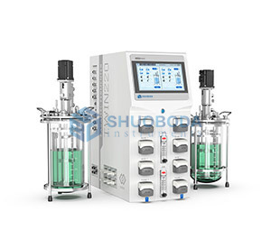 Laboratory Duplex Fermenter Bioreactor Dual Tank Parallel Fermenter FMT-T Series