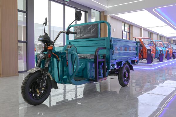 New Model Electro Tricycle 3 Wheel Motorized Popular Adults Cargo