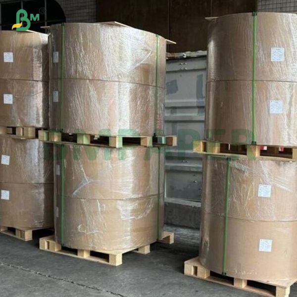 Food Grade FDA 240gsm Waterproof Bleached Cup Base Paper