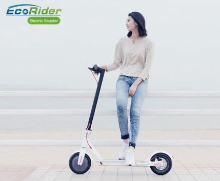 M365 2 Wheel Electric Scooter  Folding 350w 36v Lithium Battery 25km/h Speed