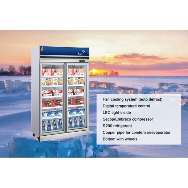 Convenience Store Upright Glass Door Freezer Fridge Refrigeration Equipment