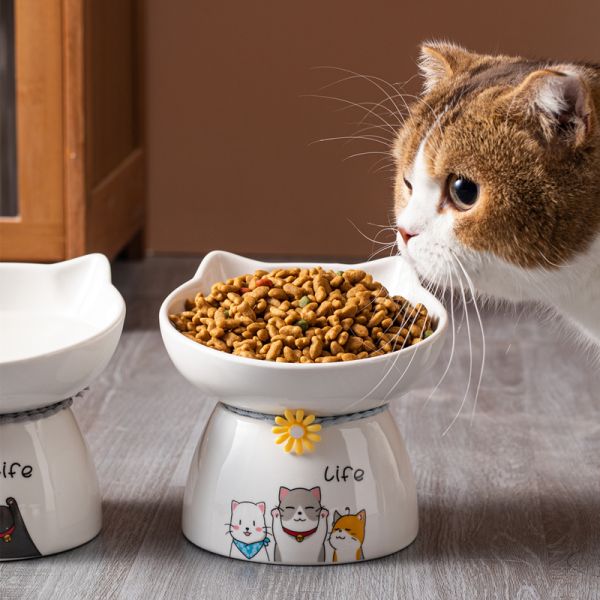 Dishwasher Safe Ceramic Pet Water Bowl , Easy To Clean Microwave Safe Travel Dog Bowl