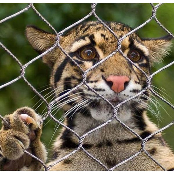 Woven Design 1mm 1.5mm Stainless Steel 304 Rope Wire Mesh for Customized Safety Fencing and Animal Enclosures