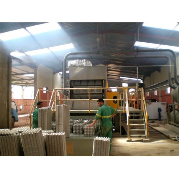 бумажная прессформа 153KW утилизации отходов машины подноса яйца 2500pcs/H