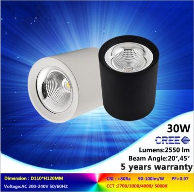 4000K 30W good design COB LED downlight NEW ceiling mounted lamps for commercial light