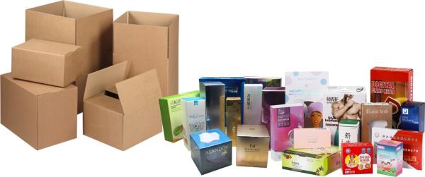 Customized Automatic side load Case Packer for carton box productfor Sale