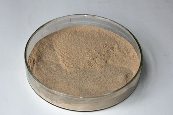 Pure natural Banaba Leaf Extract corosolic acid 20% powder