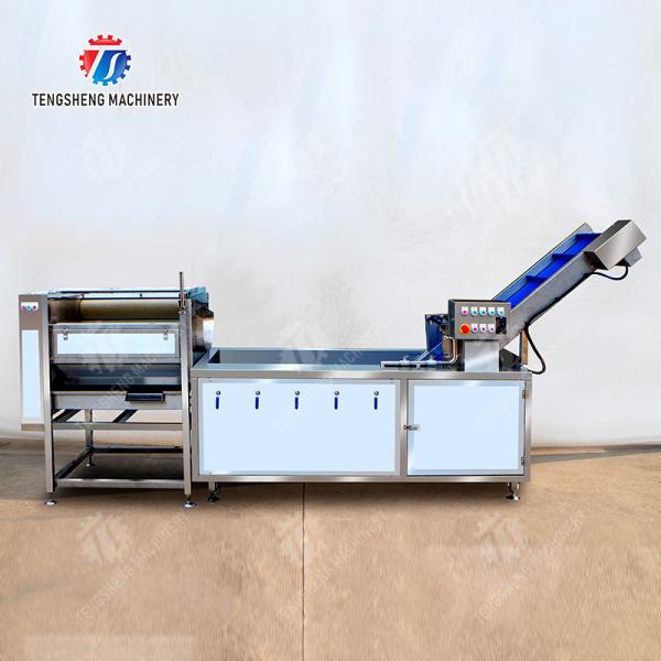 Citrus cleaning production line Fruit Orange Wash Washer Washing Cleaning Dryer processing production Machine
