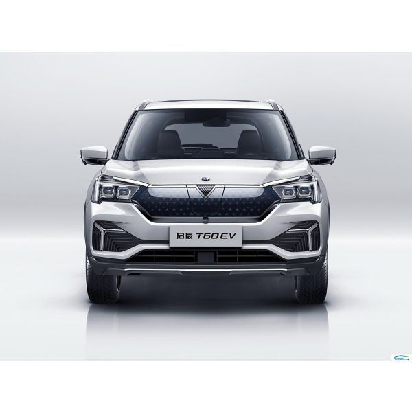 Clearance Sale 2023 Dongfeng Qichen T60EV Electric Car with TPMS and Touch Screen
