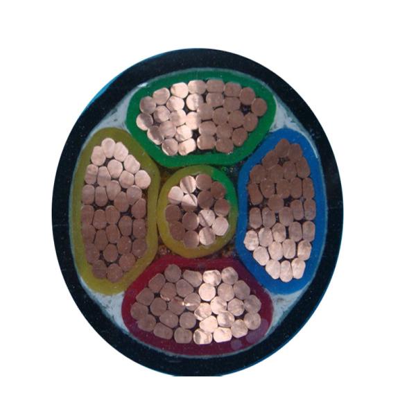                    Flexible XLPE Insulated Power Cable for Custom Installations             