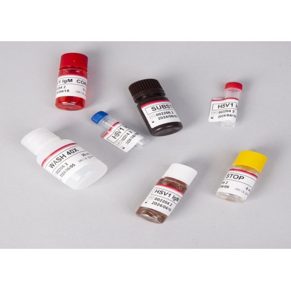 Mechano Growth Factor MGF ELISA Kit IGF-1 Insulin Like Growth Factor 1 Test
