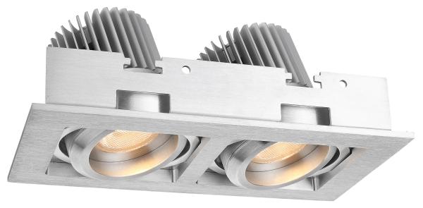 2*7W Double Head Aluminum 2700K Dimmable Five Star LED Downlights R3B0394