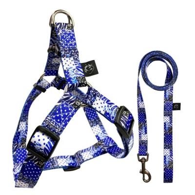 Le collier en nylon de laisse de harnais de chien de mode a placé la ligne style faite sur commande de modèle