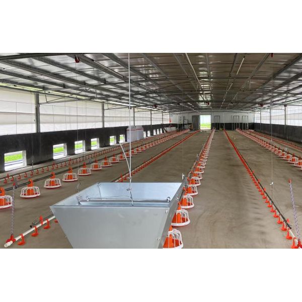Aluminum Magnesium Zinc Coated Frame Poultry Cage Equipment Retractable Seeder Homogenizer Integrated