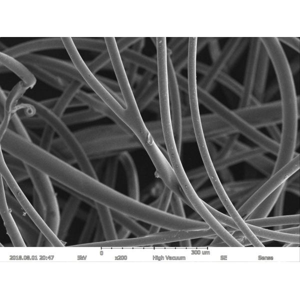 BSE EDS разрешения электронного кинескопа 5nm сканирования 150000X увеличения максимальный