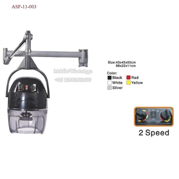 ASF-11-003 Hot Sales Hair Steamers for Black Hair Supplier in Guangzhou