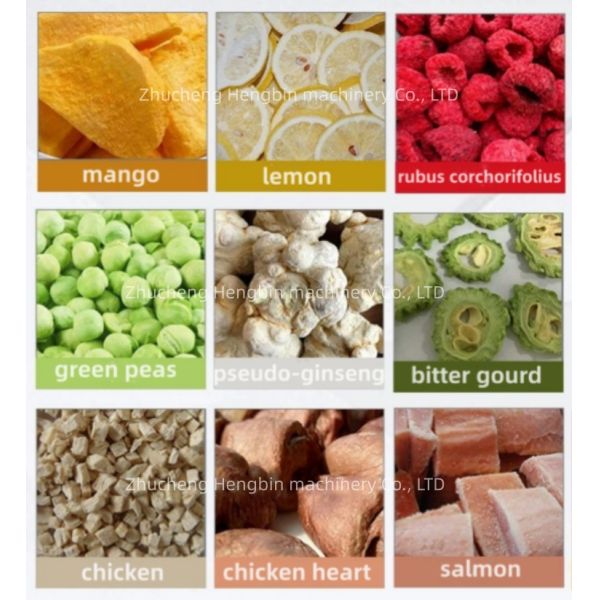 Промышленность пищевых напитков Вакуумные морозильные сушильные машины для фруктов овощей морепродукты