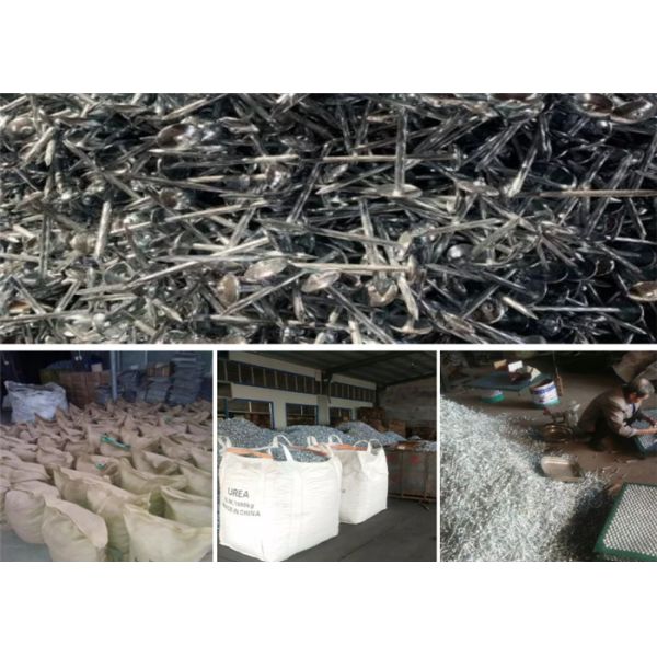 Hot Dipped Galvanized Roofing Metal Wire Nails 20kg / Carton Packing 11 Gauge