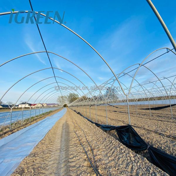Vertical Strawberry Growing Trough with Galvanized Steel Plate and Drip Irrigation System for Customizable Hydroponic Cultivation