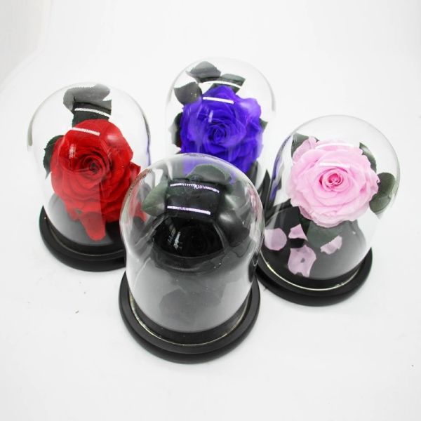 Real Preserved Rose in Glass Dome  use for Office gift or Home Decoration