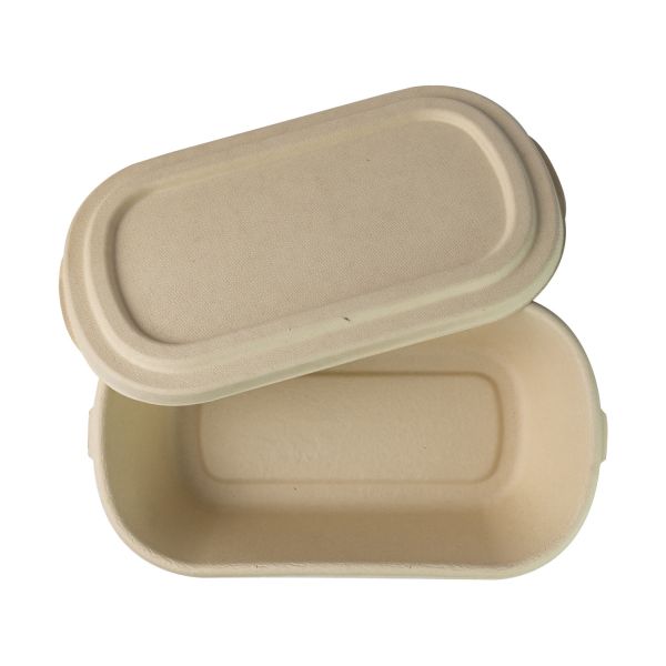 Biodegradable контейнер обеда бумажной пульпы, пищевой контейнер багассы сахарного тростника, устранимый Tableware