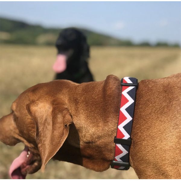 Adjustable 0.8 Inch 2 Inch Nylon Dog Collar Supplies Elastic Woven Black And Red