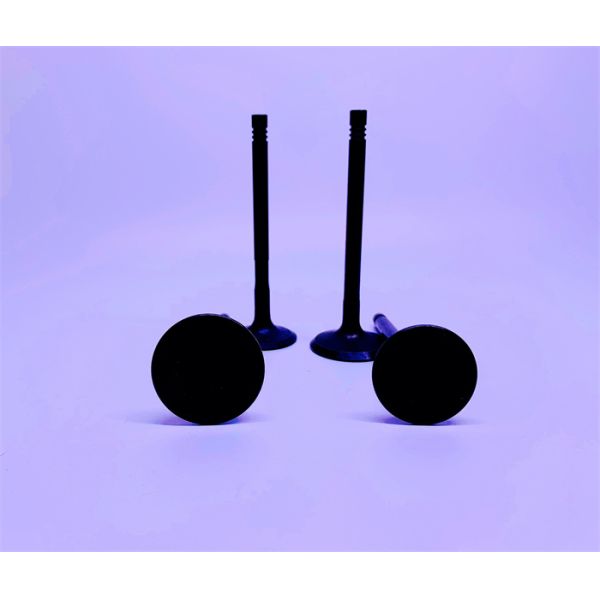 Perkins C4.4 Intake Diesel Engine Valve Durable 3142H101 3142A171
