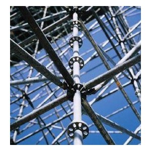 труба лесов