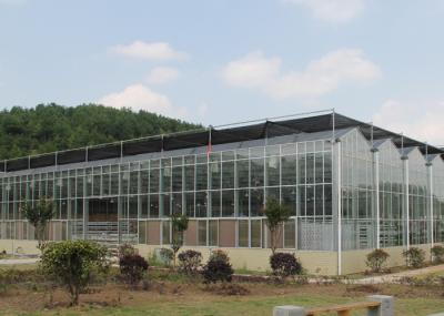 6 mm PC Sheet Greenhouse Multi Span Stainless Steel / Aluminum Profile