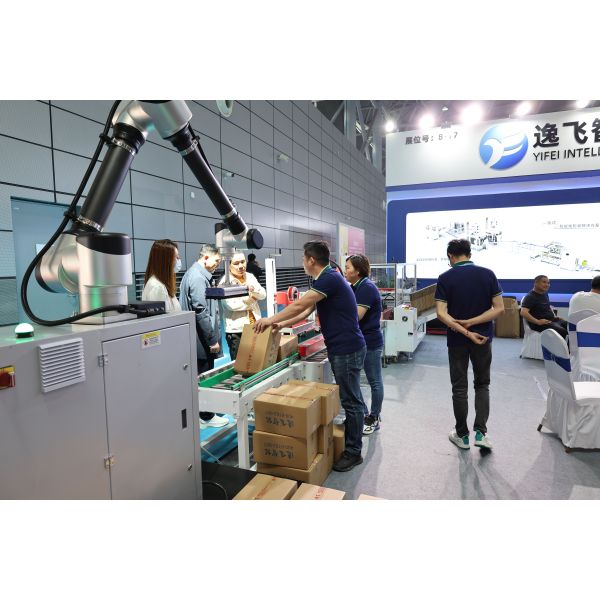 IP65 Packaging Line with Case Carton Bag Box Erector Folding Sealer Palletizer System