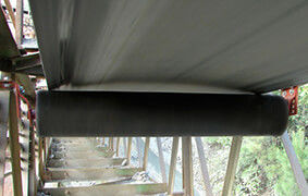 Rodillo loco del transportador a prueba de polvo impermeable del ISO