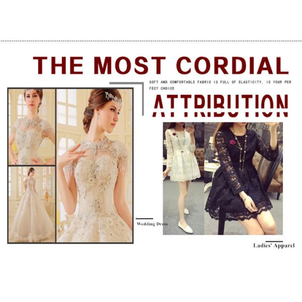 Excellent Quality Knitted Cotton/Nylon Embroidered Lace fabric Wholesale