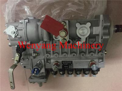 Bomba de injeção 49994681 das peças sobresselentes de China Cummins Engine da fonte