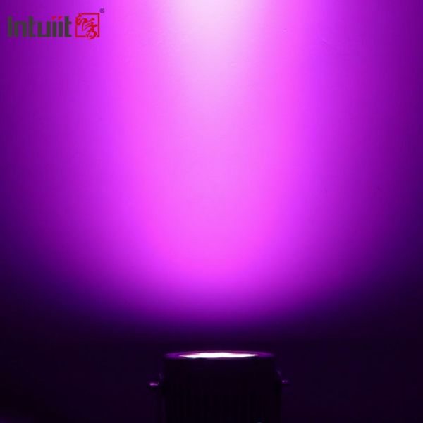 Фары ландшафта СИД украшения 24В рождества на открытом воздухе