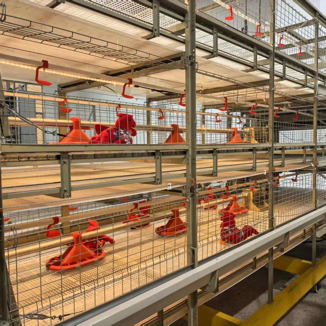 H Type Broiler Cage System Multi Tiers Chicken Broiler Cage With Harvesting System