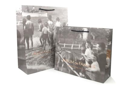 Fancy Personalised Paper Bags /  Printed Paper Carrier Bags Offset Printing