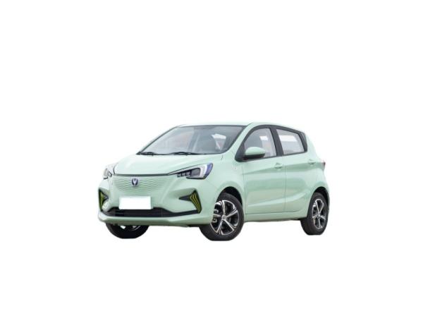 Pure Electric Mini EV Cars Max Speed 101 Km/H Long Range 310KM