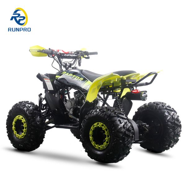 Powerful 125cc Gas Fuel ATV Quads with 2WD Driving Type and Interesting Features