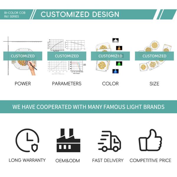 R61 60X60MM LED Chip White 200W+200W Light Lamp Bead Diode SMD LED chip