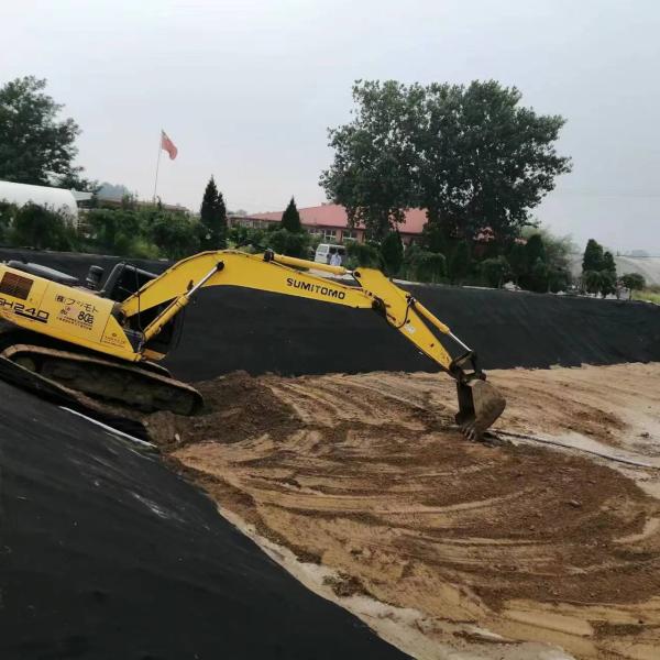 150g 300g Non woven PP Continuous Filament Geotextile for Foundation Construction