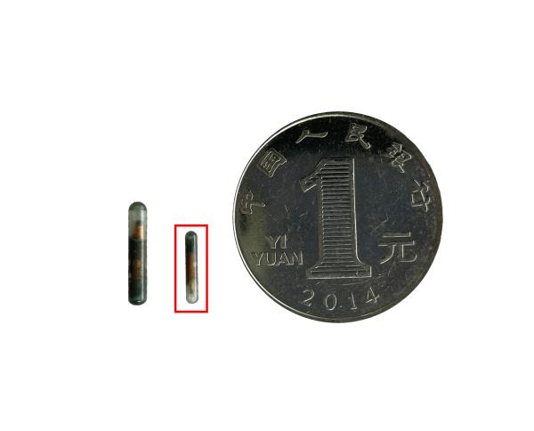 ISO11784/5 FDX-B Animal ID Microchip For Animal Temperature Monitoring And Management