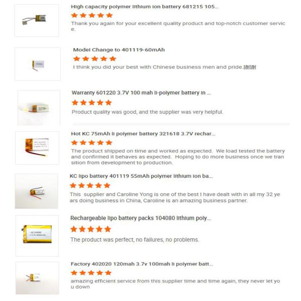 2700mAh High Capacity Lithium Polymer Battery with Customization Samples and PCB Protection
