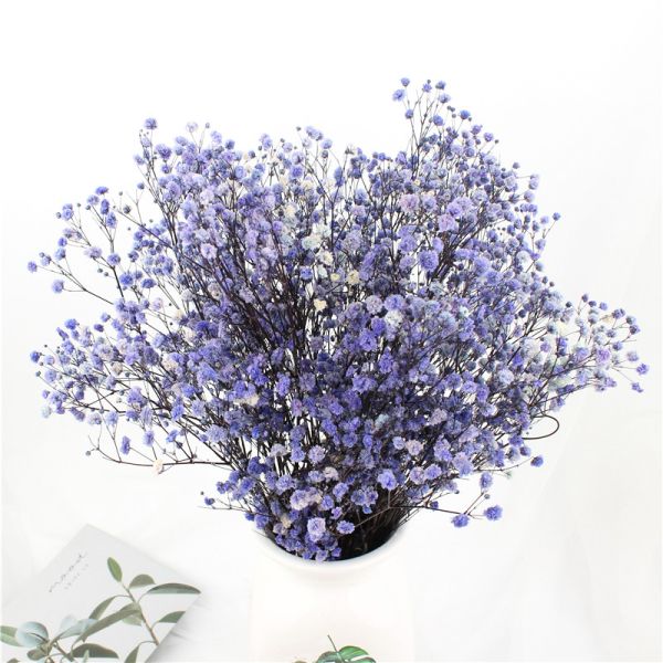 Eternal Beautiful Dried Flowers Baby Breath For Celebration Activities