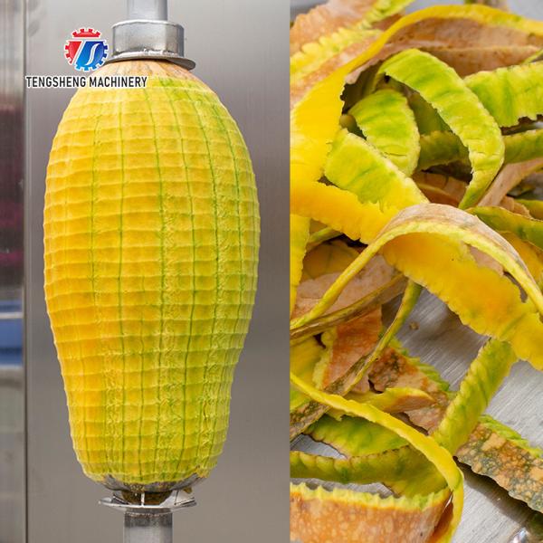 1.0KW 90KG White gourd and pumpkin peeler single head single knife peeler Fruit and vegetable peeler