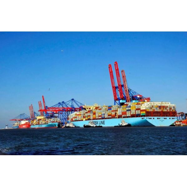 Logistics Shipping DDP Delivery Service Freight China To India Indonesia