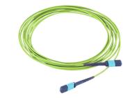 Câble MPO du tronc MPO MTP à la corde de correction optique de vert de chaux de fibre du noyau OM5 de MPO 12